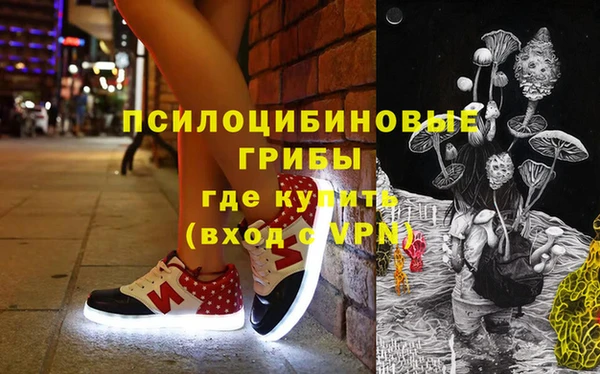 дурь Алексин