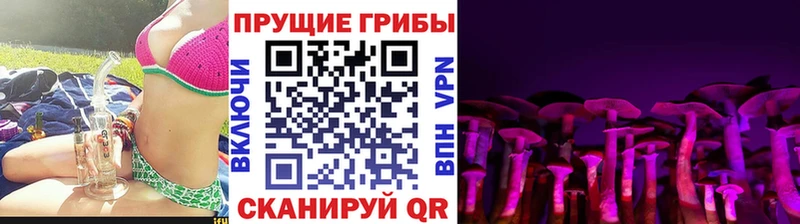Псилоцибиновые грибы Psilocybe сколько стоит Темрюк