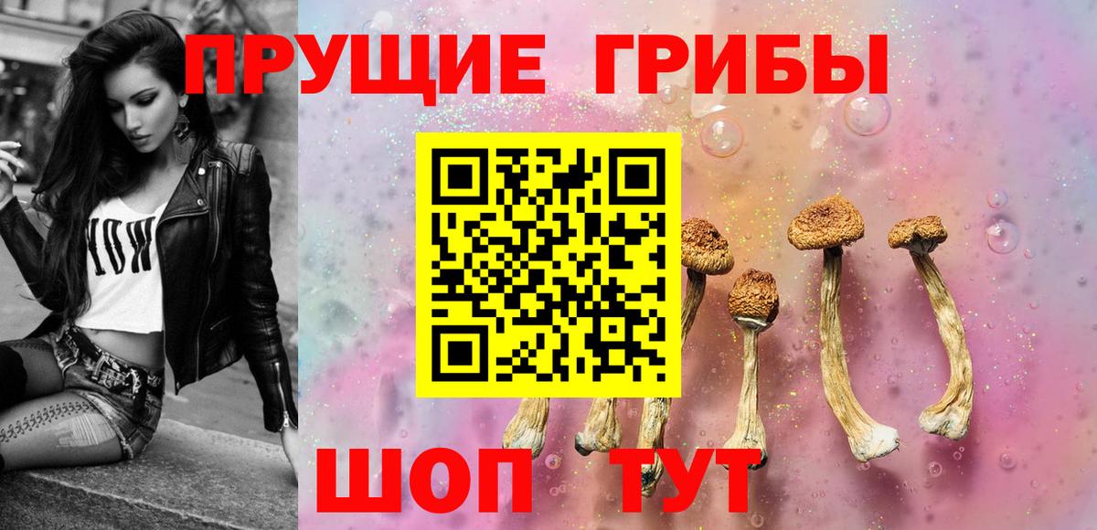 Псилоцибиновые грибы Cubensis Темрюк